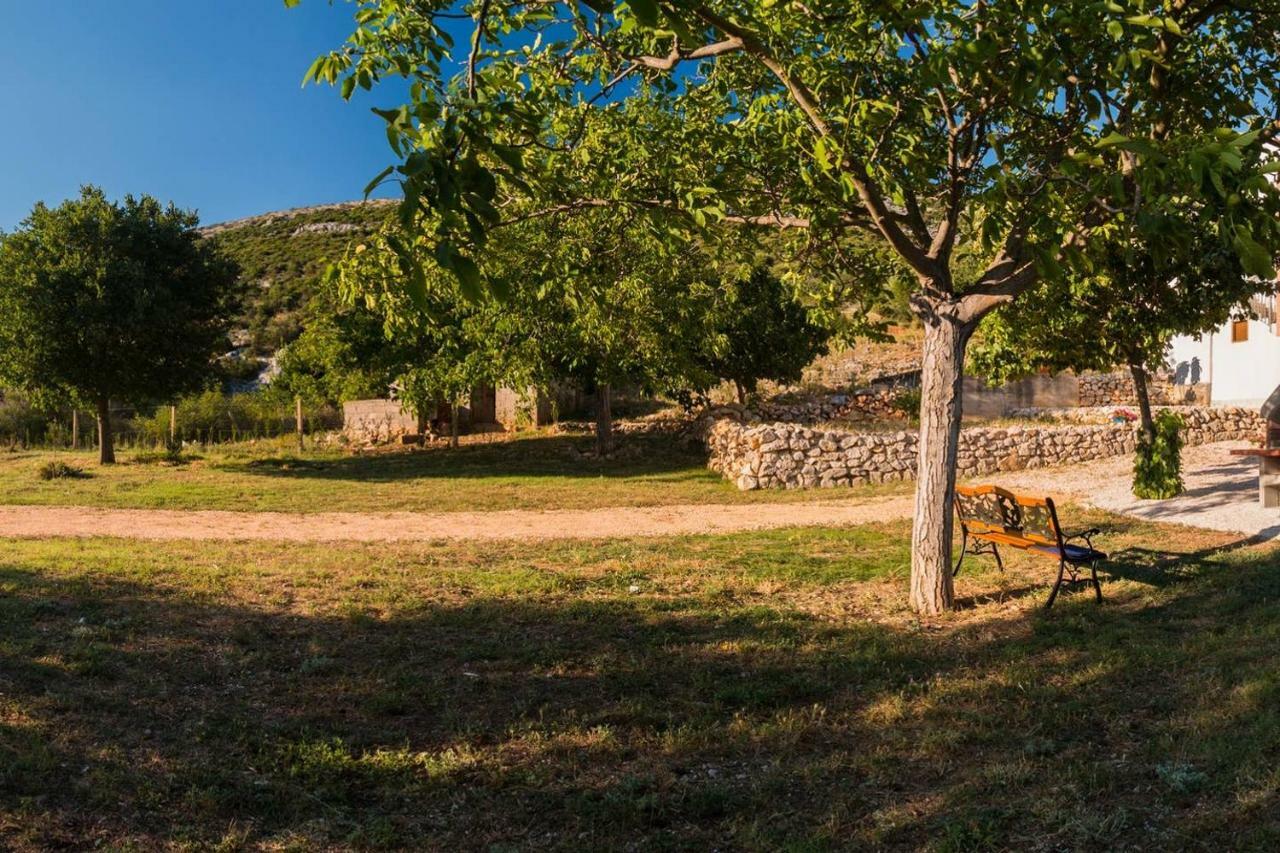 Kuca Za Odmor Lucija Appartement Vrana  Buitenkant foto